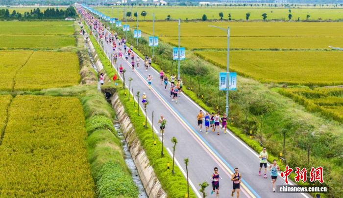 2025江苏泗洪马拉松燃情开跑：六千跑友在湿地之