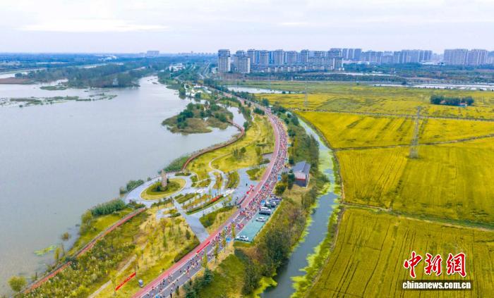 2025江苏泗洪马拉松燃情开跑：六千跑友在湿地之